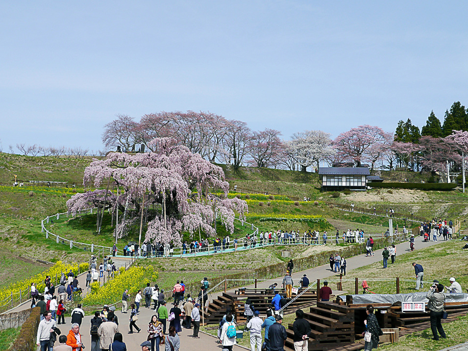 2016年4月8日〜9日　東京問屋連盟役員研修旅行