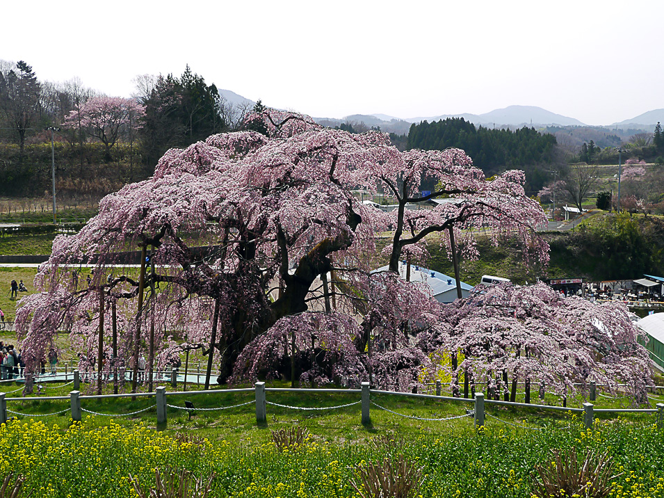 2016年4月8日〜9日　東京問屋連盟役員研修旅行