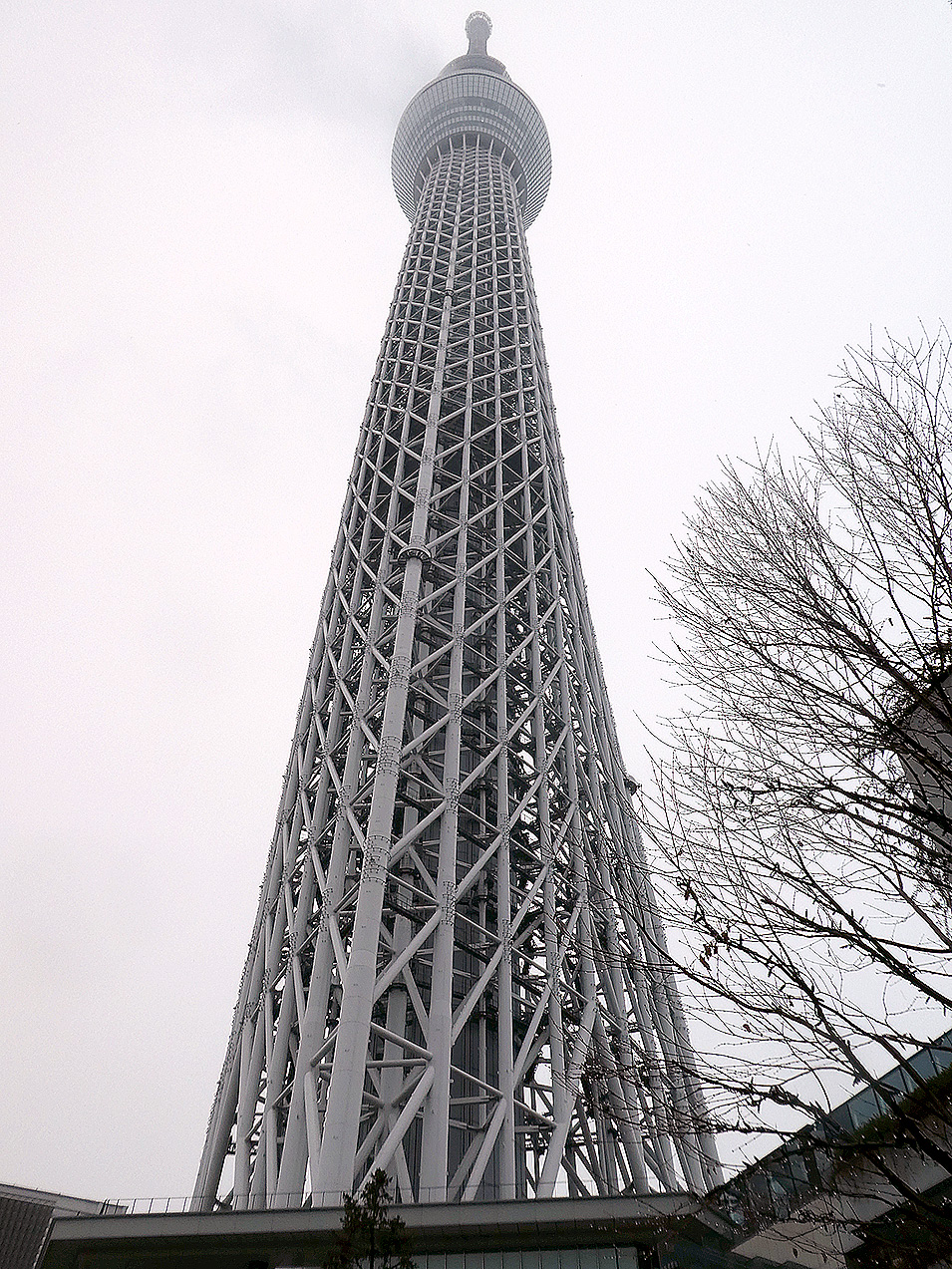 東京問屋連盟文教事業 - 豊洲市場とスカイツリー